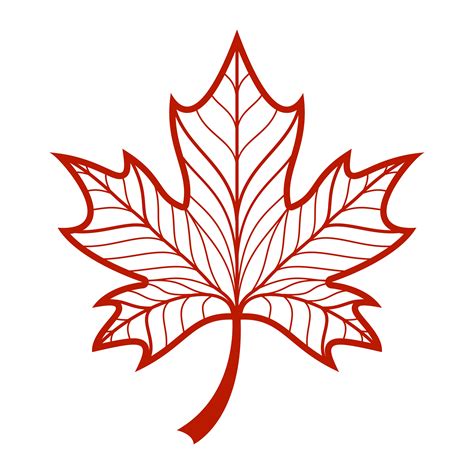 maple leaf vector